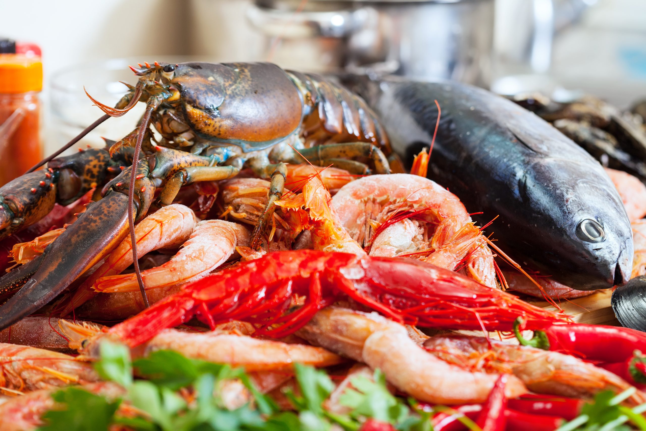 Still life with uncooked seafoods and fish in domestic kitchen